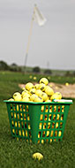 Topflite quality golf balls